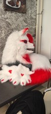 fuchs kostum gebraucht kaufen fuchs kostum gebraucht kaufen Haseldorf