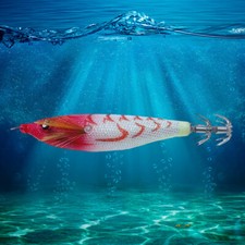 Esca pesca luminosa usato  Spedire a Italy