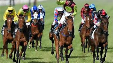 SISTEMA DE CORRIDA DE CAVALOS 68 , usado comprar usado  Enviando para Brazil