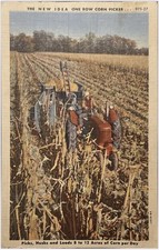 New idea corn for sale  Tucson