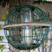 Large bird feeder for sale  SHEFFIELD