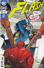 The flash 2019 gebraucht kaufen  Darmstadt