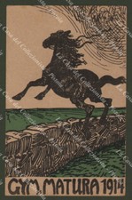 GYM. MATURA 1914. Cartolina d'epoca viaggiata na sprzedaż  Wysyłka do Poland
