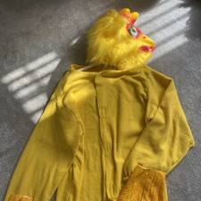 Fancy dress chicken for sale  NORTHAMPTON