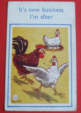 Comic postcard chickens for sale  HUNTINGDON