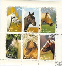 Cavalli horses yacutia usato  Spedire a Italy