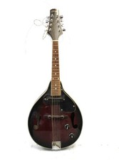 mandolin string for sale mandolin string for sale LEEDS