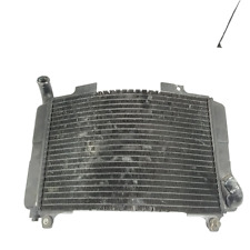 Radiatore raffreddamento acqua usato  Altavilla Silentina