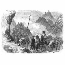 ESPANHA transportando vinho espanhol através dos Pirenéus - Estampa antiga 1857 comprar usado  Enviando para Brazil