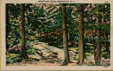 Landscape dirt road for sale  Abilene