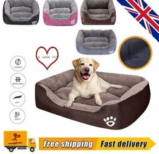 Small brown dog for sale  LONDON