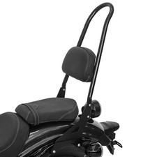 Sissy bar casual gebraucht kaufen  Meinerzhagen
