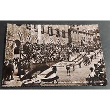Cartolina siena palio usato  Alessandria