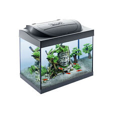 Tetra acquario vetro usato  Italia