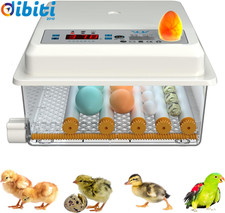 Uova incubatrice per usato  Lecco