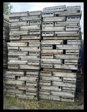 Potato chitting trays for sale  WISBECH