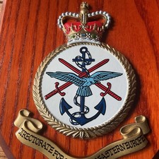 Hand painted military for sale  WESTBURY