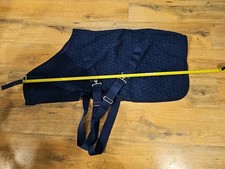 Blue cooler for sale  HORLEY