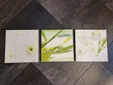 Glasbilder natur set gebraucht kaufen  Großschönau