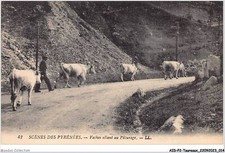 Aidp2 taureaux 0081 d'occasion  France