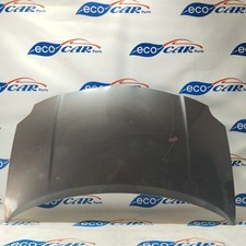 Cofano anteriore grigio usato  Acerra