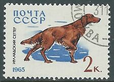 1965 russia usato usato  Roma