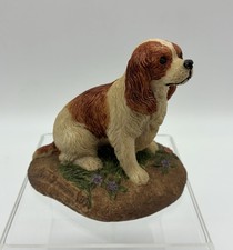 Cavalier king charles for sale  Brooksville