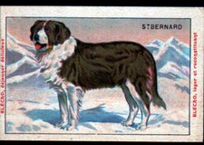 Image chromo bledine d'occasion Image chromo bledine d'occasion  Baugy