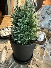 black flower pots for sale black flower pots for sale Lewisville
