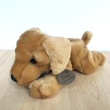 Keel golden retriever for sale  GUILDFORD