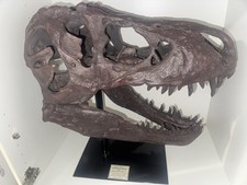 dinosaur head for sale dinosaur head for sale Winter Garden