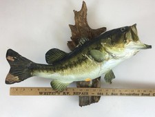 Largemouth bass taxidermy for sale  Las Vegas
