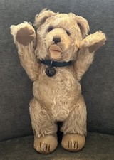 Steiff stuffed teddy for sale  New York