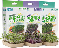 Organic diy microgreen for sale  Denver