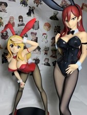 Fairy tail erza usato  Milano