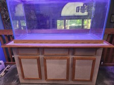 Gallon aquarium fish for sale  Cromwell
