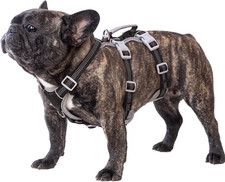 Hunde sicherheitsgeschirr refl gebraucht kaufen  Plauen