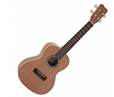 Cordoba ukeleye 15cm for sale  CHRISTCHURCH