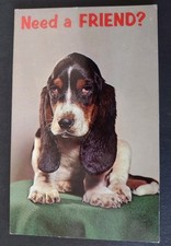 Cute dog postcard for sale  POTTERS BAR