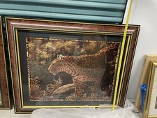 Home interiors safari for sale  Ventura