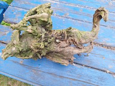 Dekorative holzwurzel terrariu gebraucht kaufen  Königs Wusterhausen