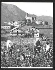 1951 navarra navarre d'occasion  France