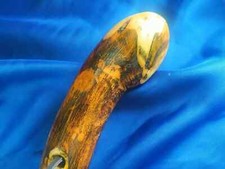 Brand new root for sale  ILFRACOMBE