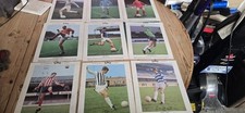 Complete set typhoo for sale  THORNTON-CLEVELEYS