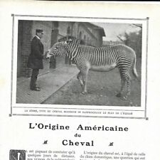 The american origin d'occasion  Expédié en Belgium