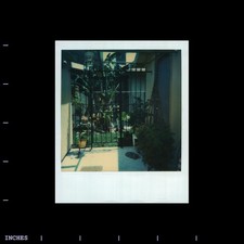 Old polaroid photo for sale  Grass Valley