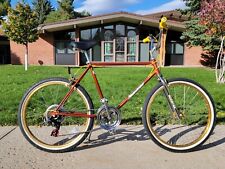 1982 schwinn sidewinder for sale  Cody