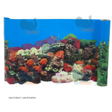 Sfondo per acquario usato  Morro d'Oro