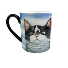 Lang tuxedo cat for sale  Chesterfield
