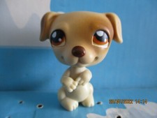 Petshop chien jack d'occasion  Expédié en Belgium